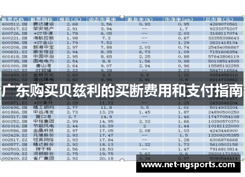广东购买贝兹利的买断费用和支付指南