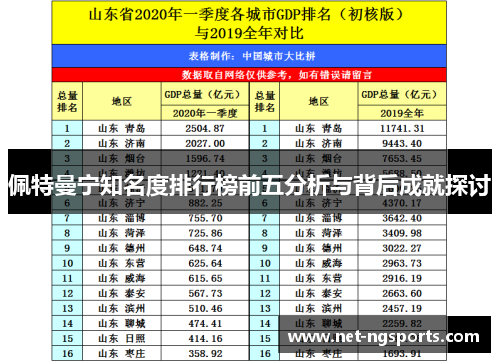 佩特曼宁知名度排行榜前五分析与背后成就探讨