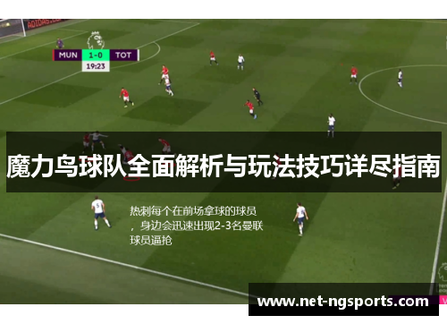 魔力鸟球队全面解析与玩法技巧详尽指南